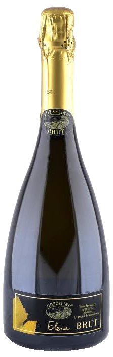 Gozzelino Elena