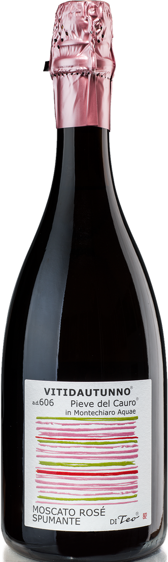 Teo Costa Vitidautunno Moscato Rosè Spumante