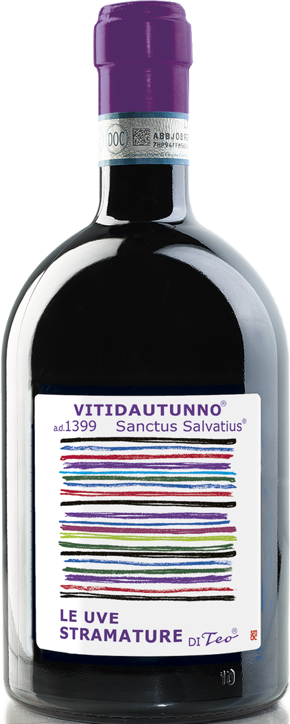 Teo Costa Vitidautunno Barbera Passito