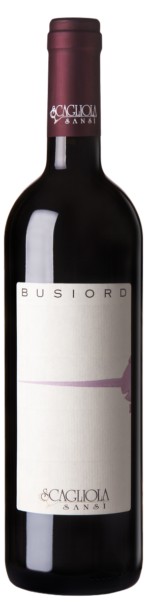 Scagliola - Sansì Busiord