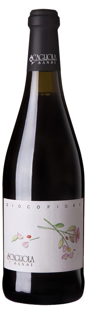 Scagliola - Sansì Giocofiore