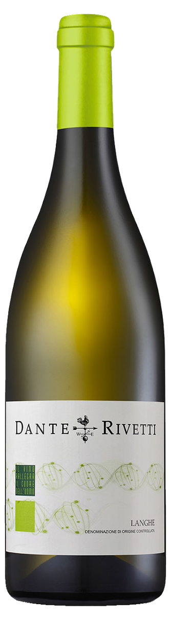 Dante Rivetti Langhe Bianco