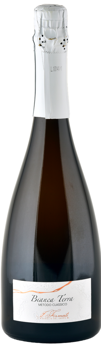 Cantina Sociale Barbera dei Sei Castelli Bianca Terra