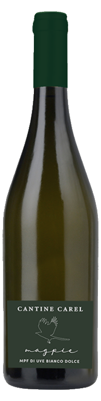 Cantine Carel Magpie