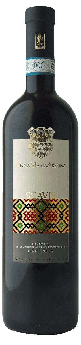 Anna Maria Abbona Scavis