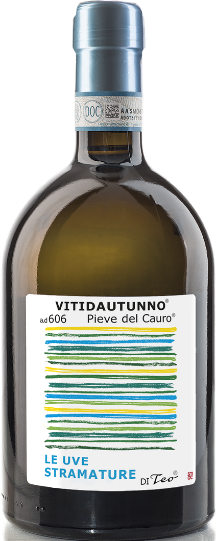 Teo Costa Vitidautunno Bianco Passito