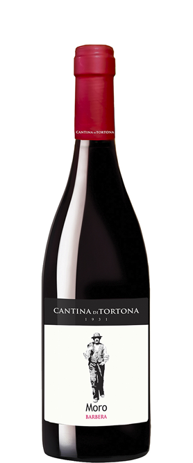 Cantina di Tortona Moro