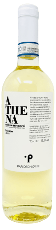 Paride Chiovini Athena