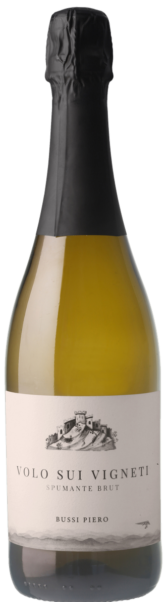 Bussi Piero Volo Sui Vigneti