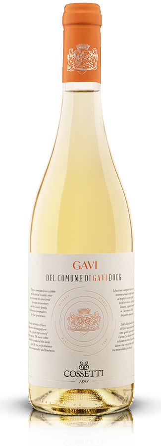 Cossetti 1891 Gavi del comune di Gavi