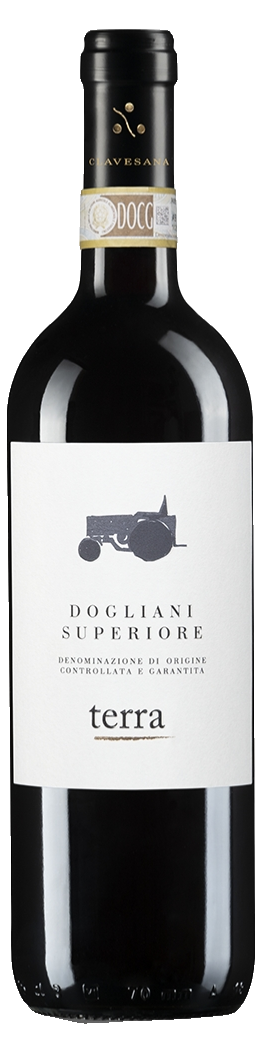 Cantina Clavesana Dogliani Superiore Terra