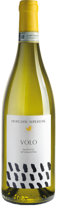 Morgassi Superiore Volo