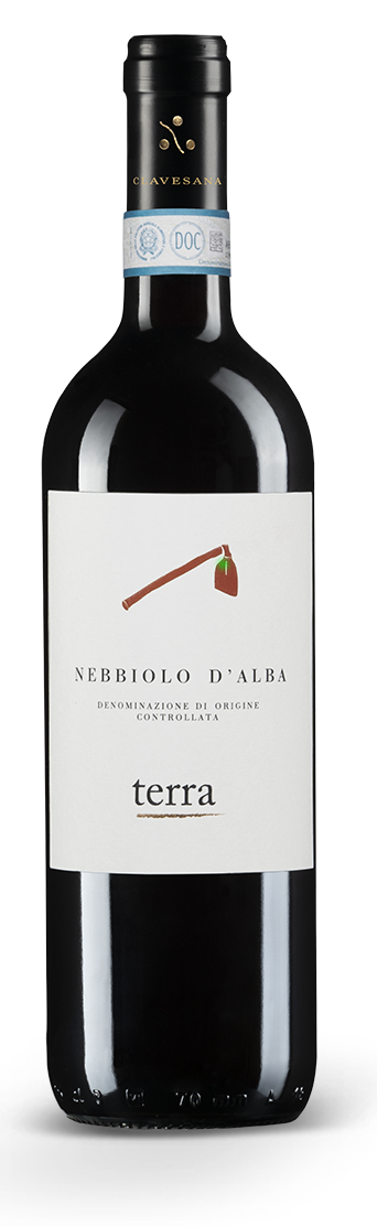 Cantina Clavesana Nebbiolo d'Alba Terra