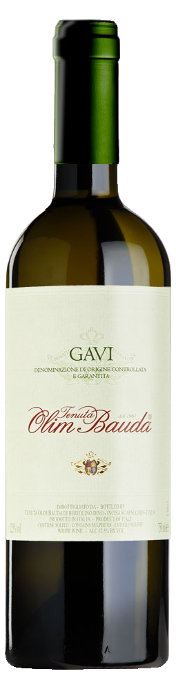 Tenuta Olim Bauda Gavi