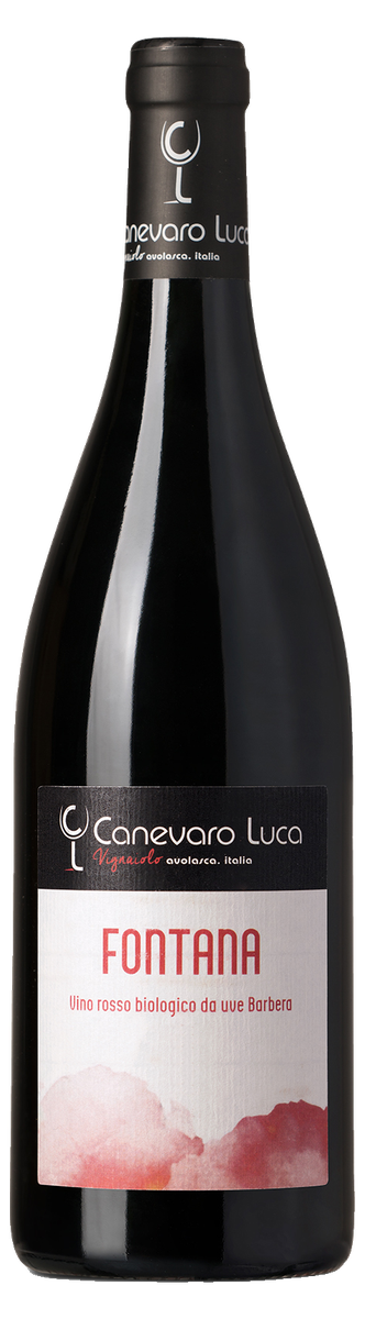 Luca Canevaro Fontana