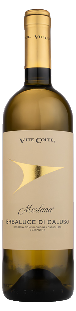 Vite Colte Merlana