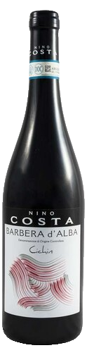 Stefanino Costa Cichin