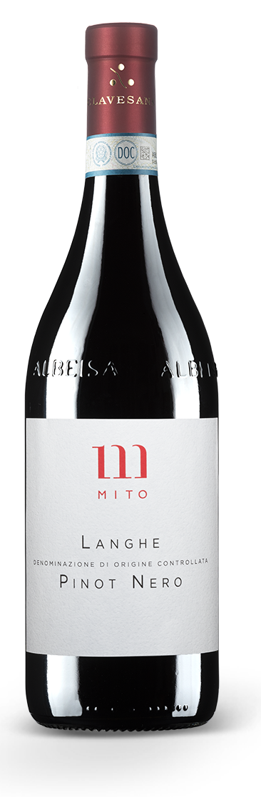 Cantina Clavesana Langhe Pinot Nero