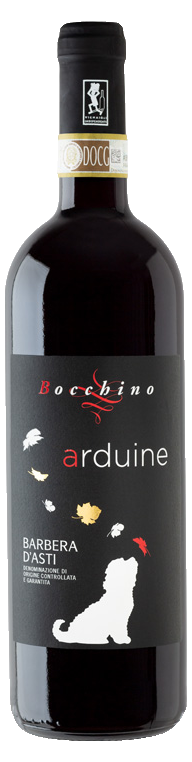 Bocchino Giuseppe Arduine