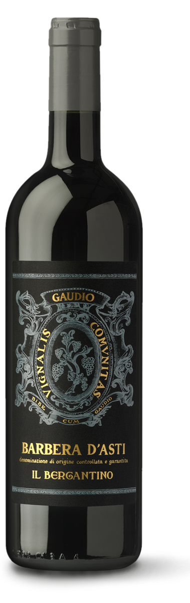 Gaudio - Bricco Mondalino Il Bergantino