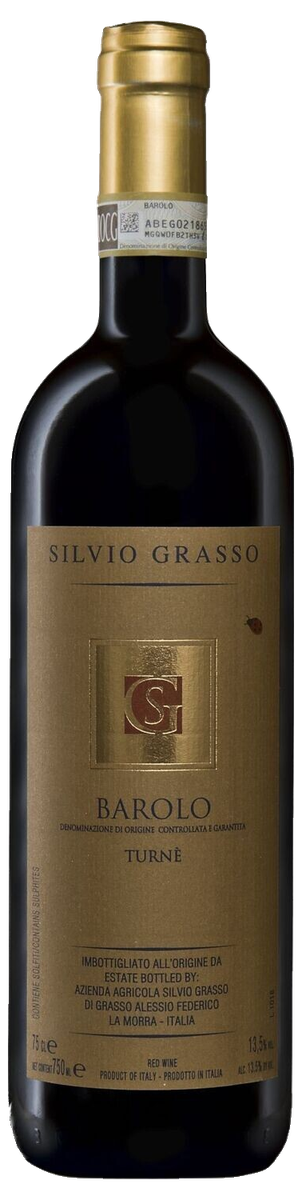 Silvio Grasso Turnè