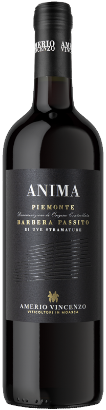 Amerio Vincenzo Anima