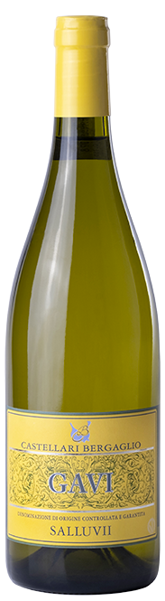 Castellari Bergaglio Salluvii