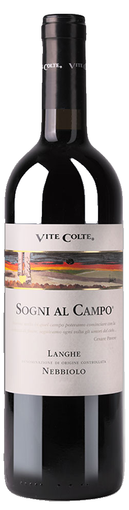 Vite Colte Sogni al Campo
