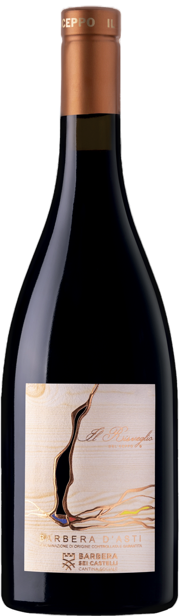 Cantina Sociale Barbera dei Sei Castelli Il Risveglio del Ceppo