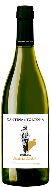 Cantina di Tortona Aemilia Scauri
