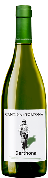 Cantina di Tortona Derthona