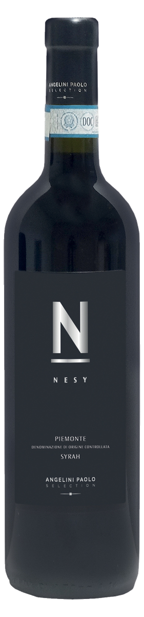 Paolo Angelini Nesy