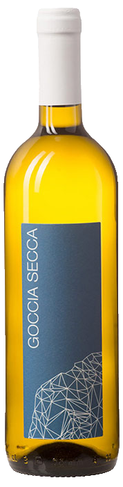 Cinzia Bergaglio Goccia Secca