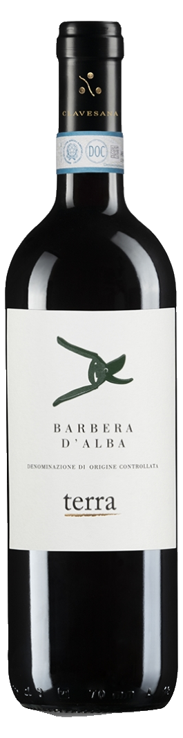 Cantina Clavesana Barbera d'Alba