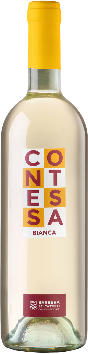 Cantina Sociale Barbera dei Sei Castelli Contessa Bianca