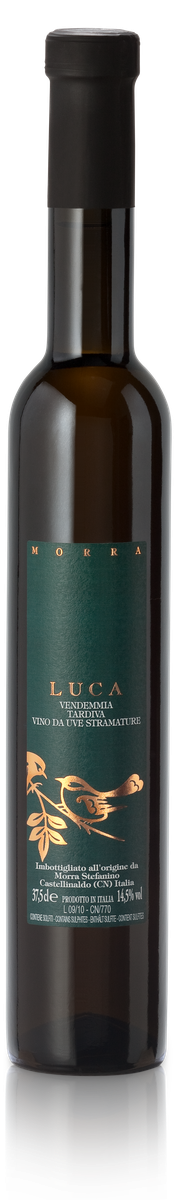 Stefanino Morra Luca