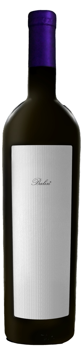 Ermanno Costa Balin