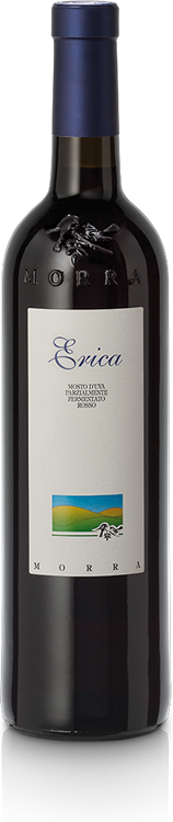 Stefanino Morra Erica
