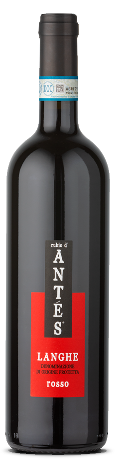 Arione Antés Langhe Rosso