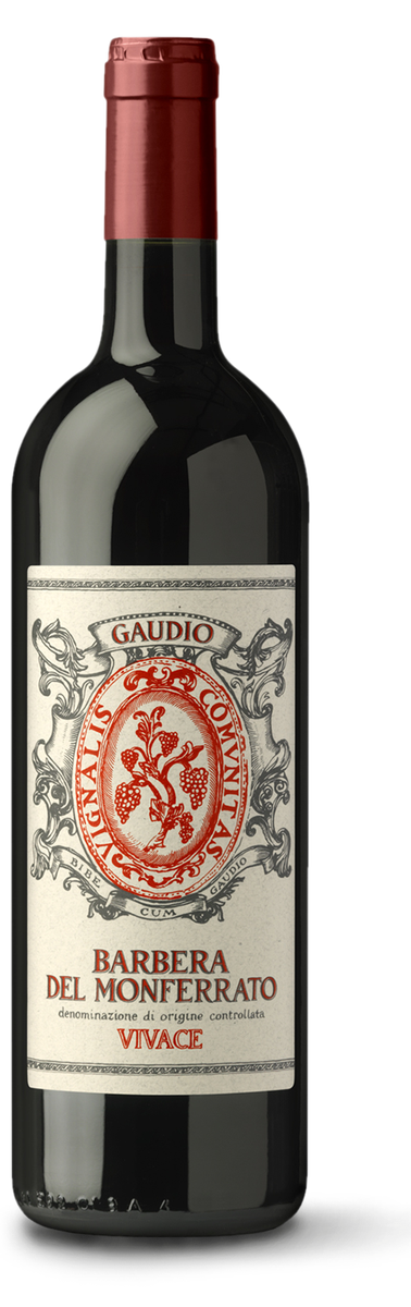 Gaudio - Bricco Mondalino Barbera del Monferrato Vivace