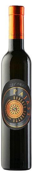 Roberto Sarotto Pajass