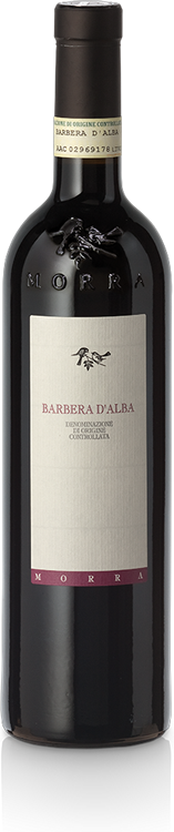 Stefanino Morra Barbera d'Alba
