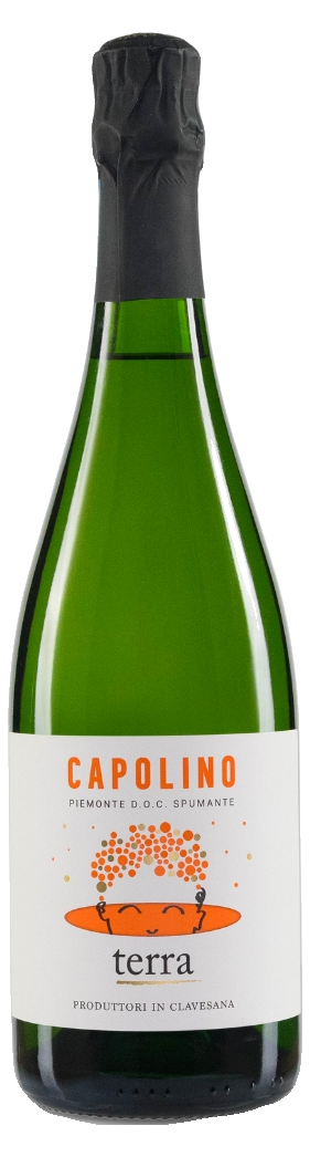 Cantina Clavesana Capolino