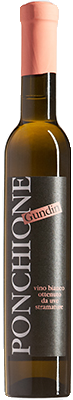Maurizio Ponchione Gundin