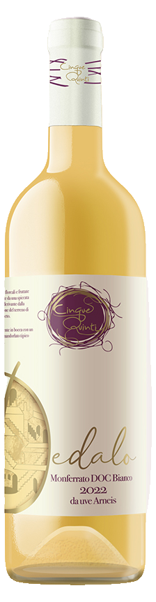 Cinque Quinti Dedalo