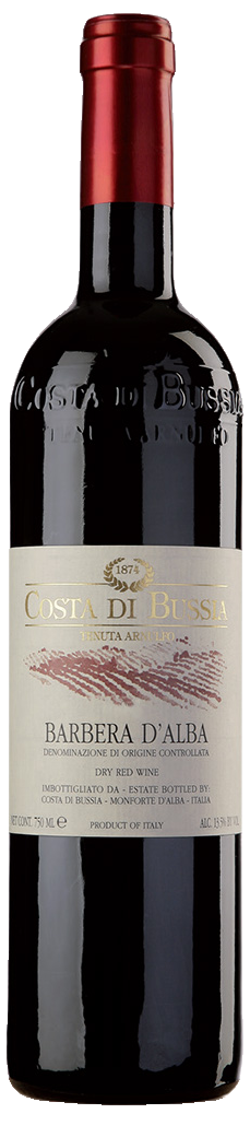 Costa di Bussia Barbera d’Alba