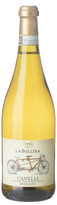 La Bollina Canelli