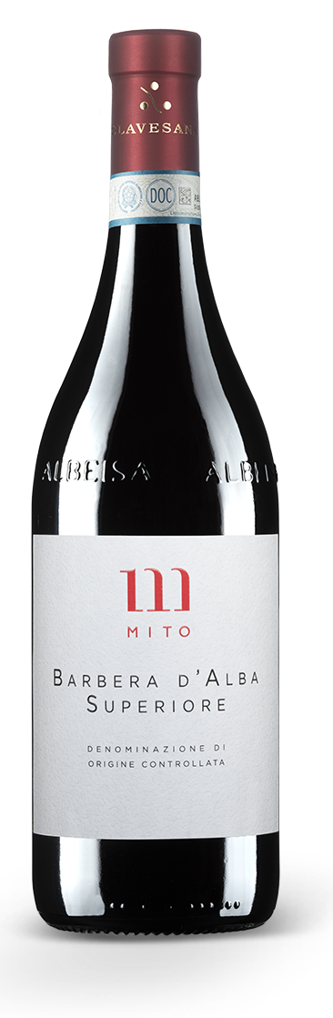 Cantina Clavesana Barbera d'Alba Superiore Mito