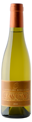 Castellari Bergaglio Gavium