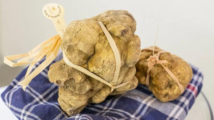 Fiera Internazionale del Tartufo Bianco d'Alba